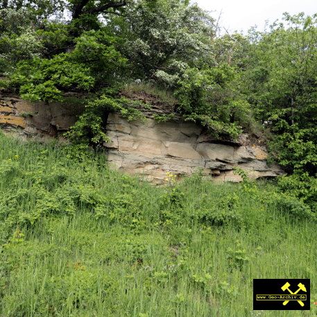 Gipskeuper am Schwanberg NO von Iphofen, Bayern - 18. Mai 2023 (13).JPG